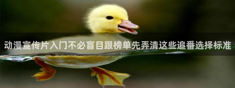 动漫天堂动画片在线观看:动漫宣传片入门不必盲目跟榜单先弄清这些追番选择标准配图