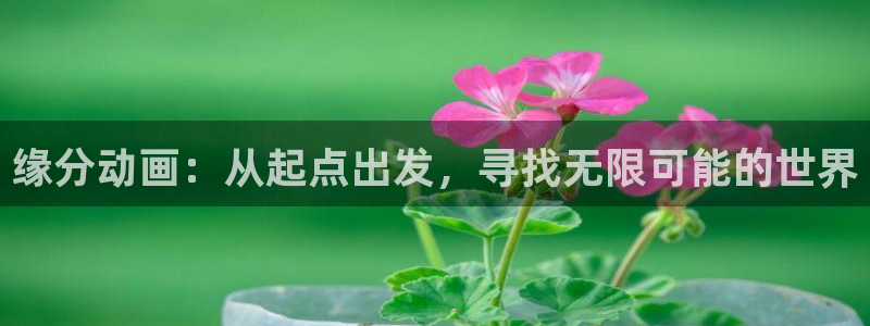 2026动漫天堂高分动漫:缘分动画:从起点出发,寻找无限可能的世界配图