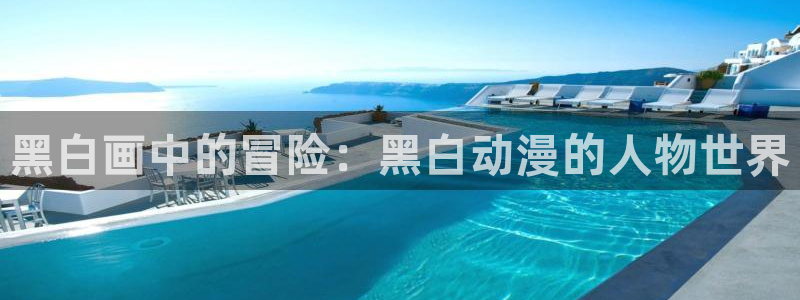 动漫天堂热门:黑白画中的冒险:黑白动漫的人物世界配图