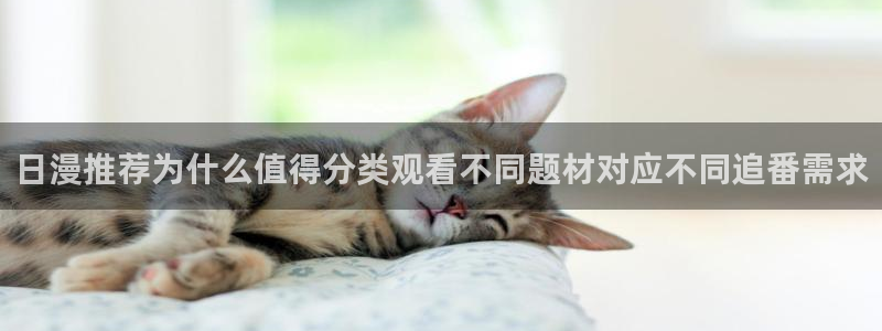 2026动漫天堂在线观看:日漫推荐为什么值得分类观看不同题材对应不同追番需求配图