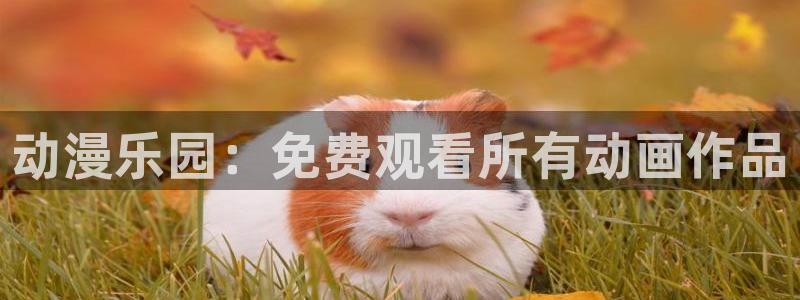 动漫天堂热门排行榜:动漫乐园:免费观看所有动画作品配图