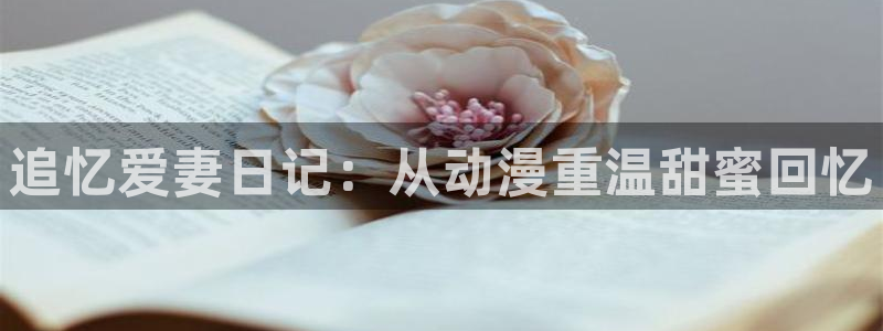 动漫天堂手机在线观看:追忆爱妻日记:从动漫重温甜蜜回忆配图