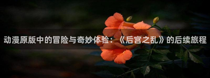 动漫天堂动作动漫推荐:动漫原版中的冒险与奇妙体验:《后宫之乱》的后续旅程配图
