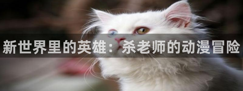 动漫天堂动漫免费在线观看：新世界里的英雄：杀老师的动漫冒险配图