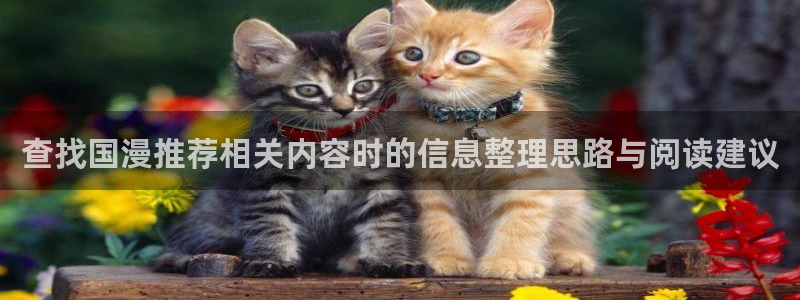 动漫天堂恋爱动漫推荐:查找国漫推荐相关内容时的信息整理思路与阅读建议配图