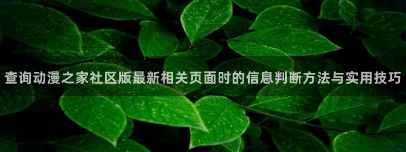 动漫天堂追番推荐:查询动漫之家社区版最新相关页面时的信息判断方法与实用技巧配图