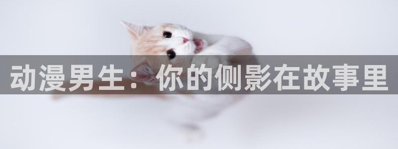 动漫天堂日漫大全:动漫男生:你的侧影在故事里配图