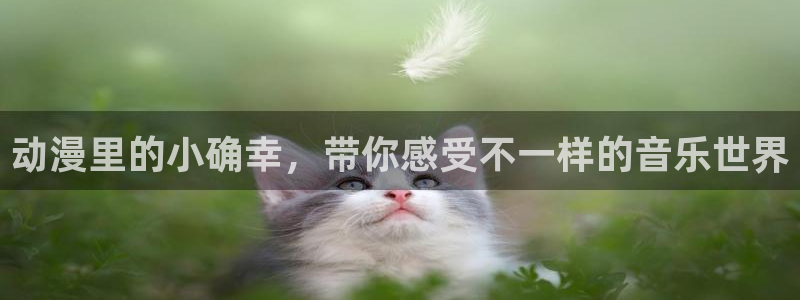 动漫天堂全集在线观看:动漫里的小确幸,带你感受不一样的音乐世界配图