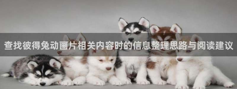 动漫天堂最新新作:查找彼得兔动画片相关内容时的信息整理思路与阅读建议配图