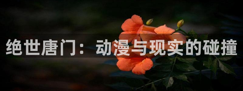 动漫天堂本月热门:绝世唐门:动漫与现实的碰撞配图